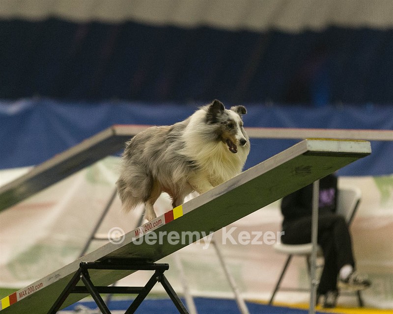 20150321-LEAP-1406.jpg
