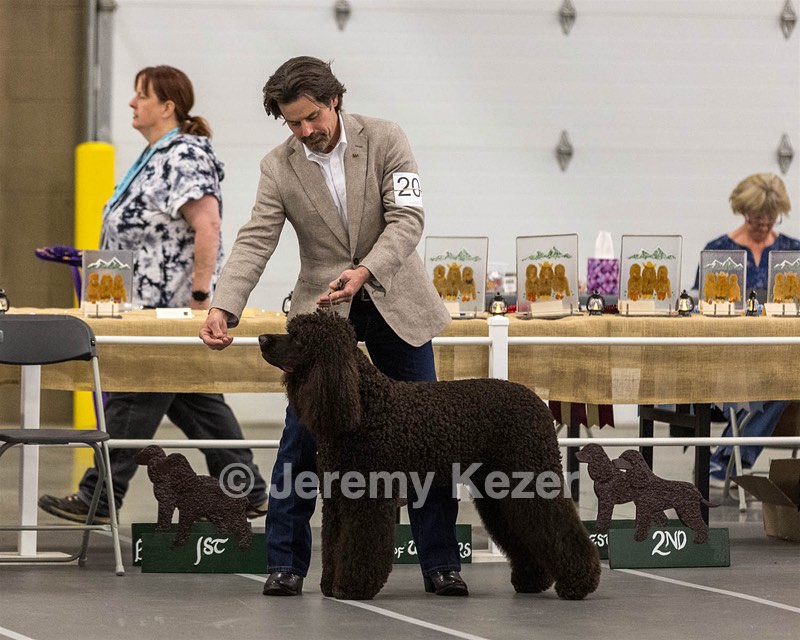 201 - CH Realta & Sycomore O’Boy