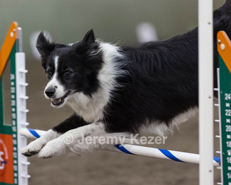 Breeze Schunk