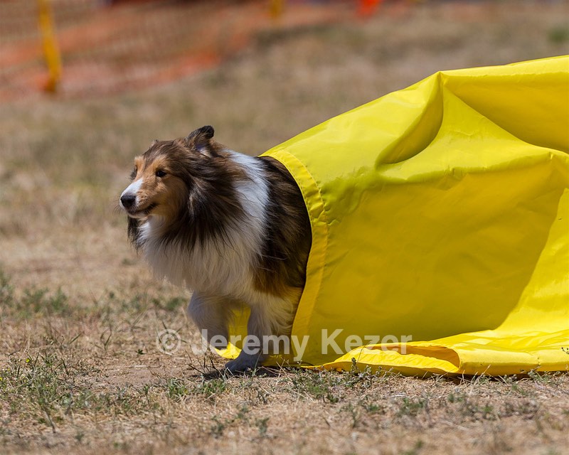 20160619-CCKC-1236.jpg