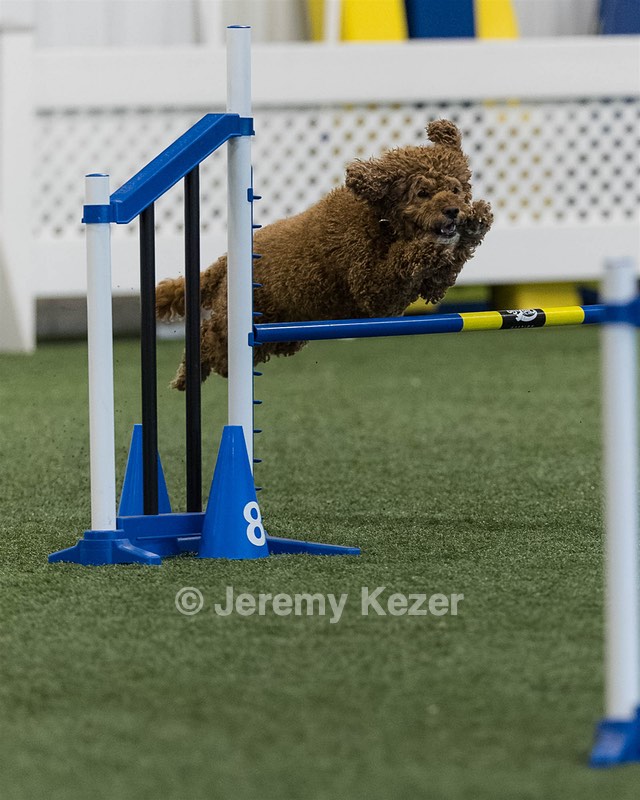 Champ Soccodato