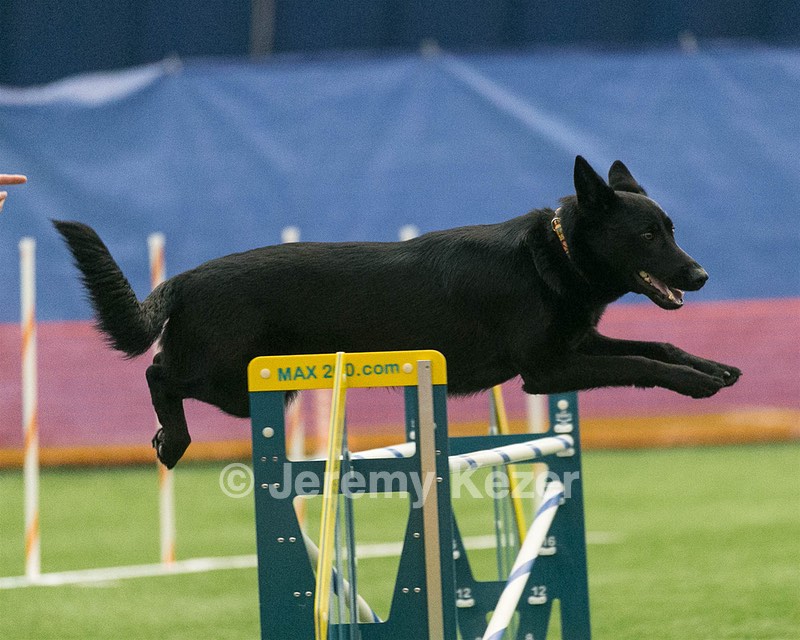 Dash Mathieu