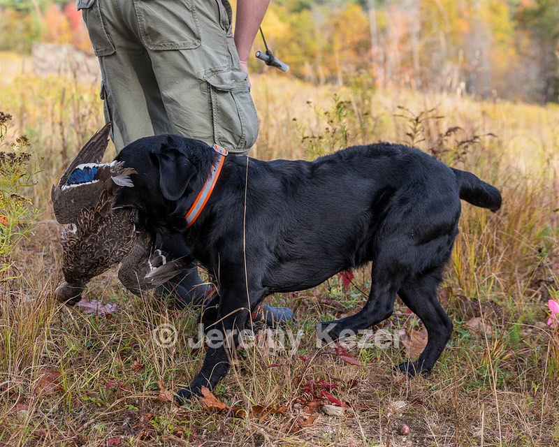 20191013-WCL-0026.jpg
