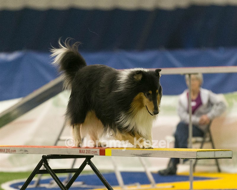 20150321-LEAP-0649.jpg