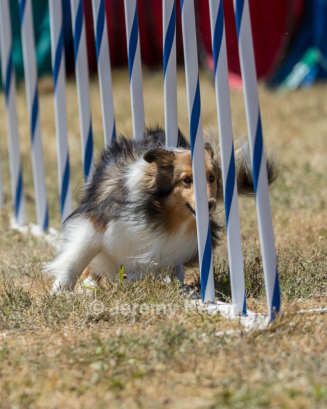 20160618-CCKC-1848.jpg