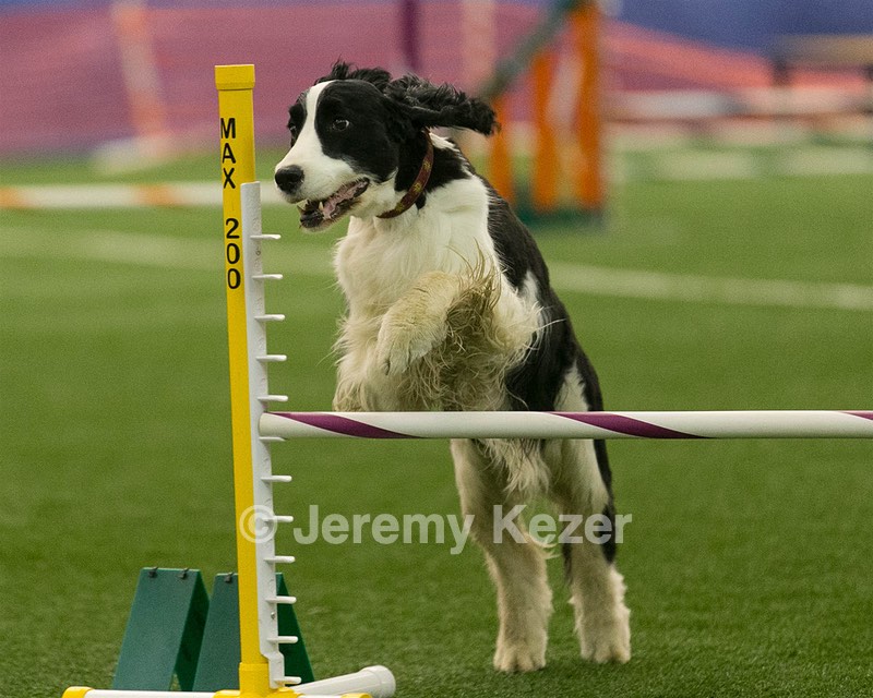 20150321-LEAP-1424.jpg