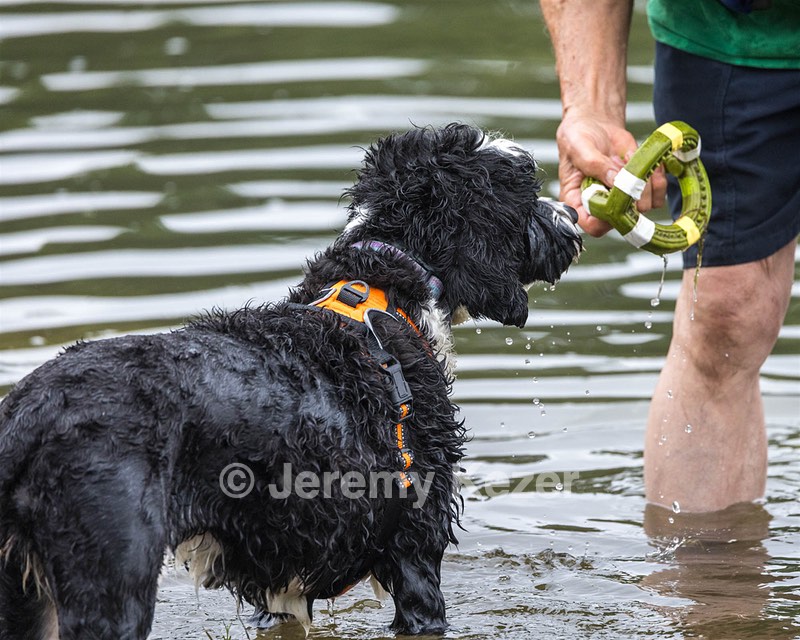 Molly wth Emerson Dahmer
