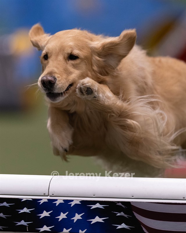 20260221-0156.jpg