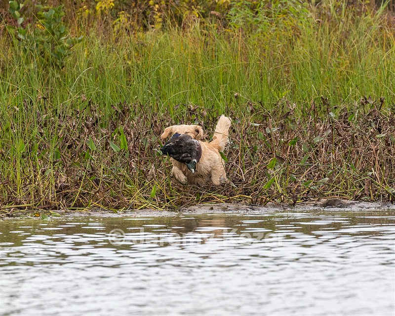 20161008-WCXW-0010.jpg