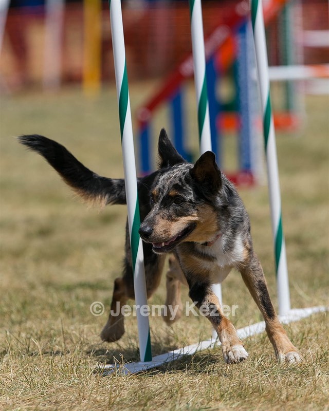 20150614-CCKC-1758.jpg