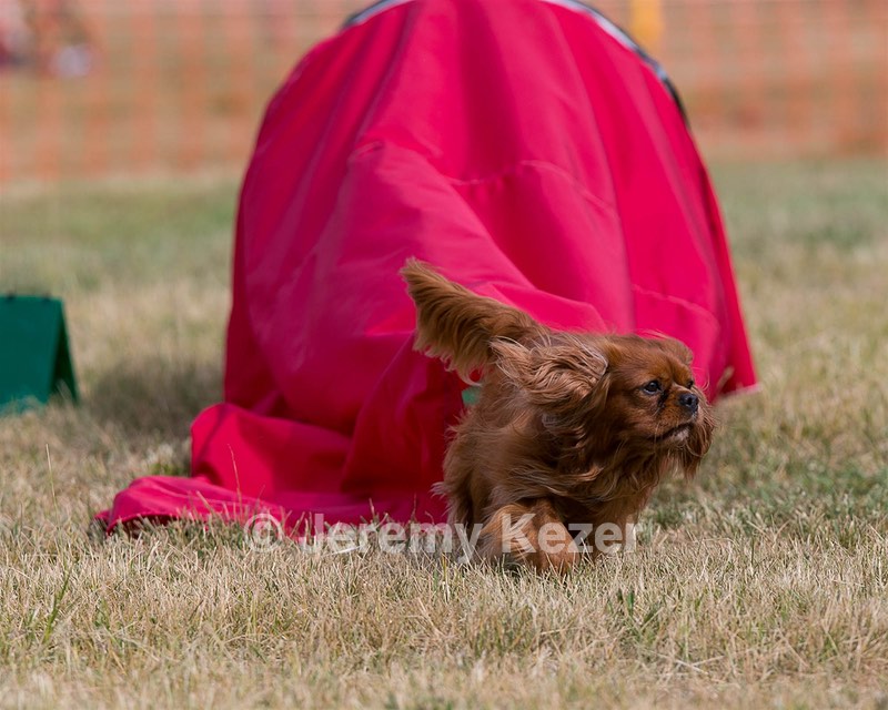 20150613-CCKC-0012.jpg