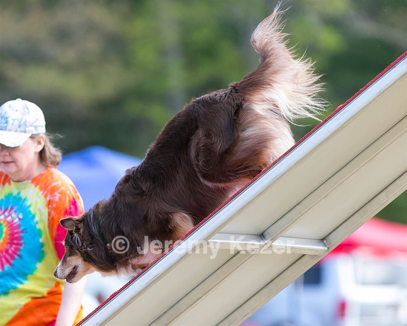 20150614-CCKC-0071.jpg