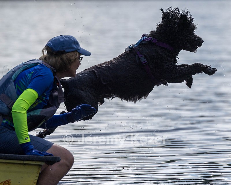 Perry Schaub