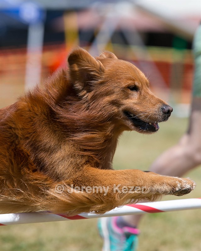 20150613-CCKC-0086.jpg