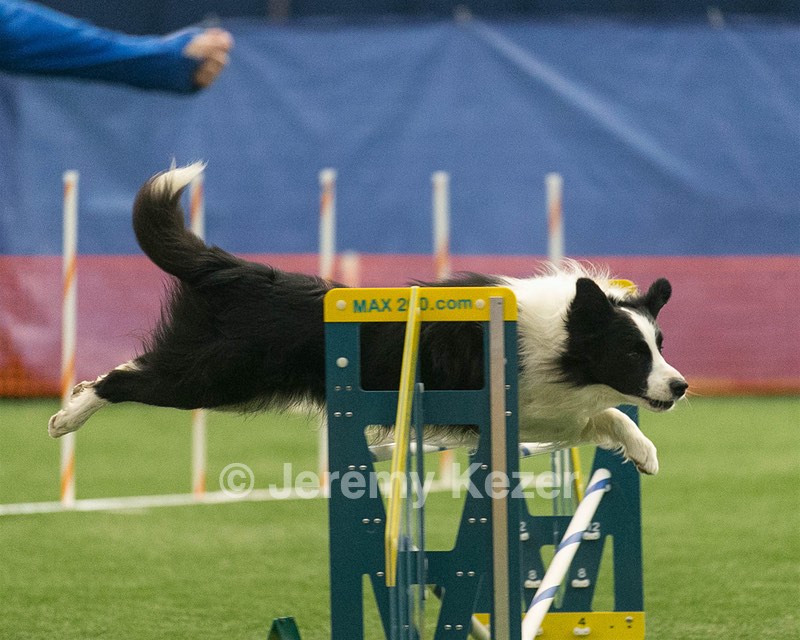 20150321-LEAP-0936.jpg
