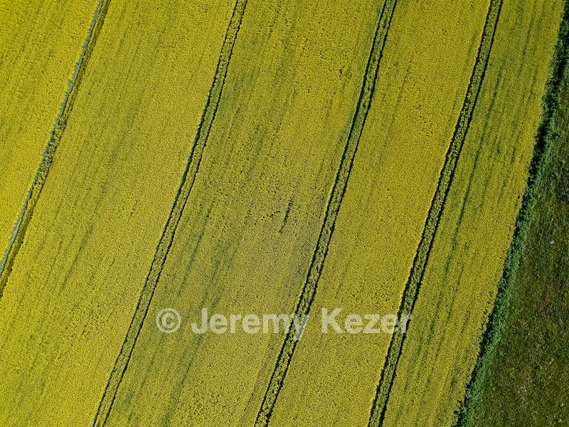 DCIM/101MEDIA/DJI_0107.JPG