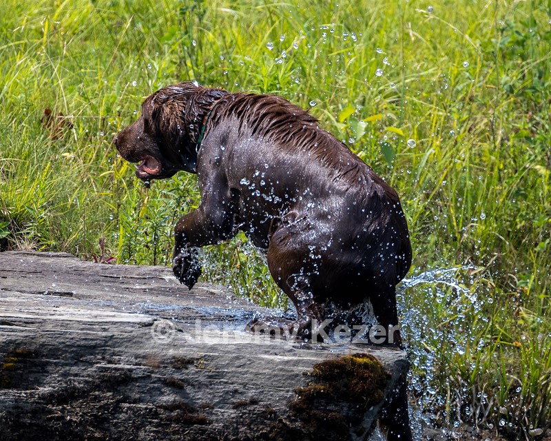 NIMBY Jones