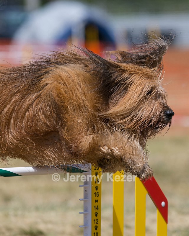 20150614-CCKC-1773.jpg