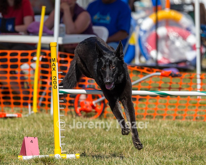 20180617-1637.jpg