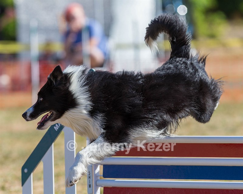 20160618-CCKC-0216.jpg