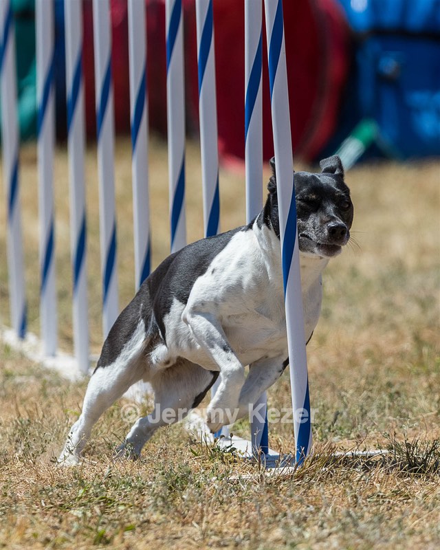 20160618-CCKC-1736.jpg