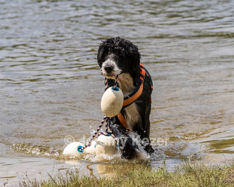 Nelly