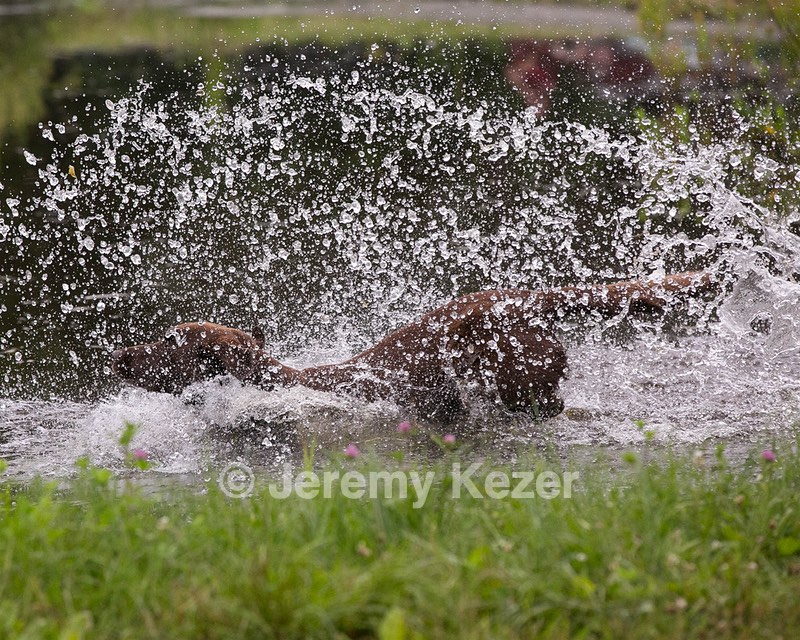 20130713-MHB2-0342.jpg