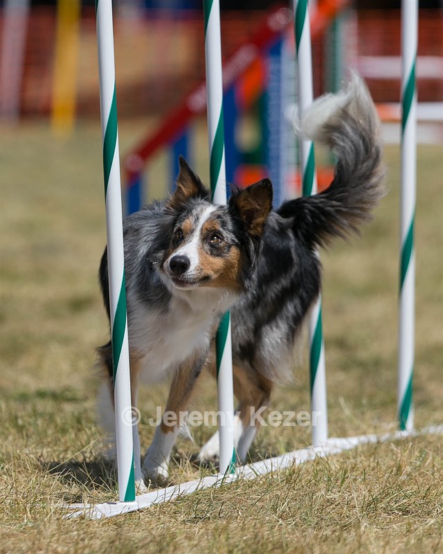 20150614-CCKC-1762.jpg