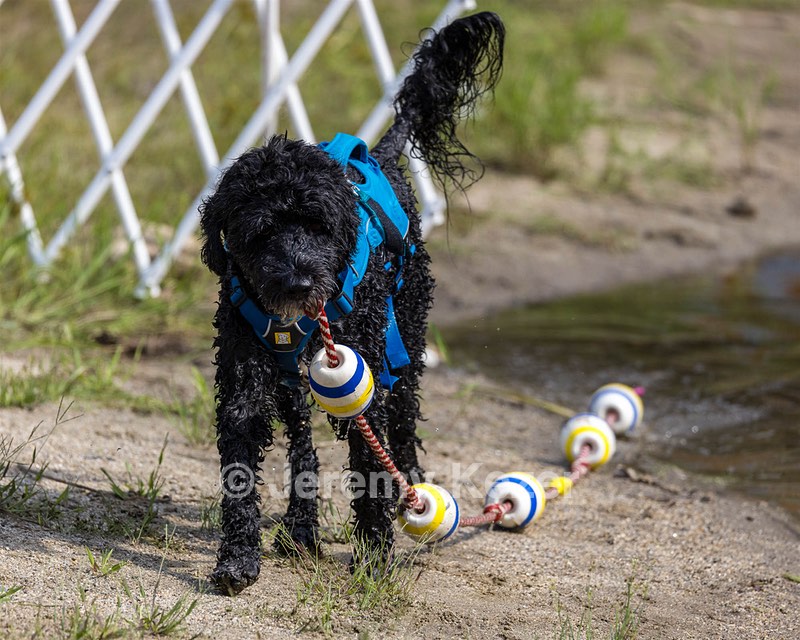 Fenwick Kutner