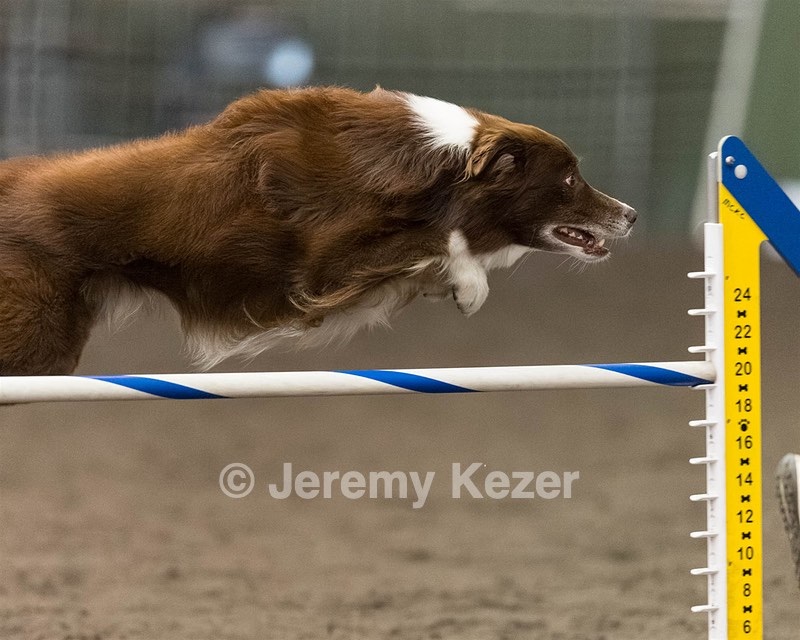 Ruff Bettler