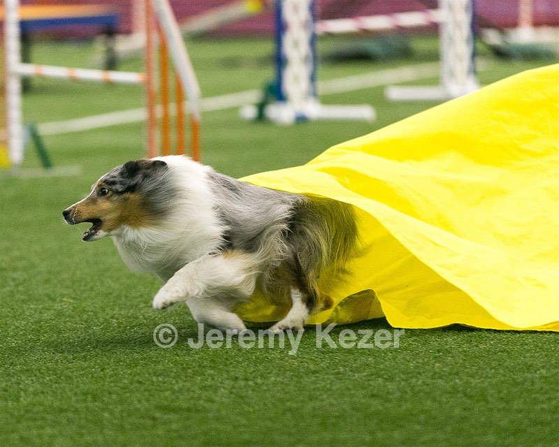 20150322-LEAP-0291.jpg