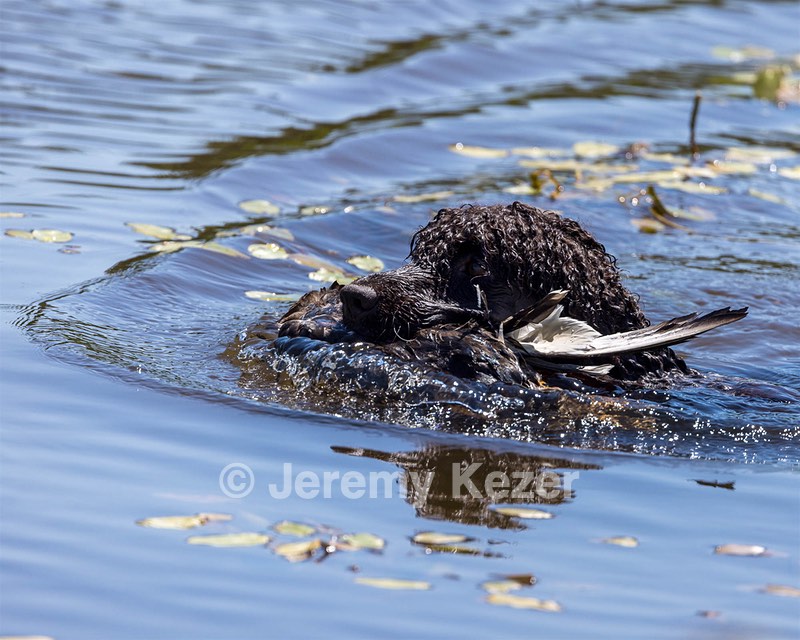 Ghillie Kezer