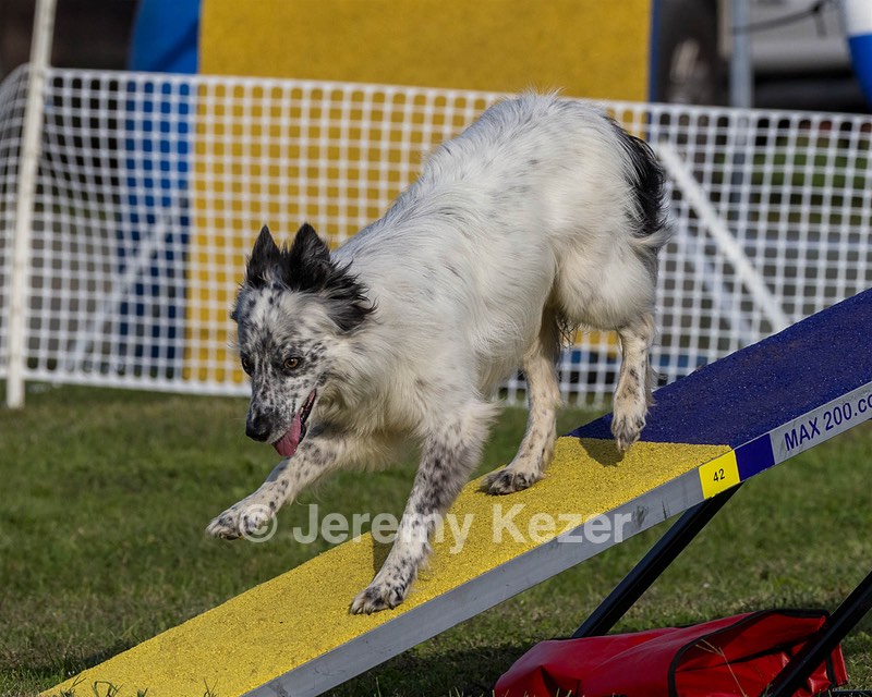 20230916-PVKC-1649.jpg