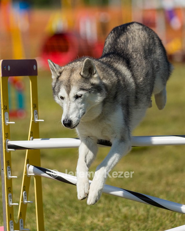 20180617-1633.jpg