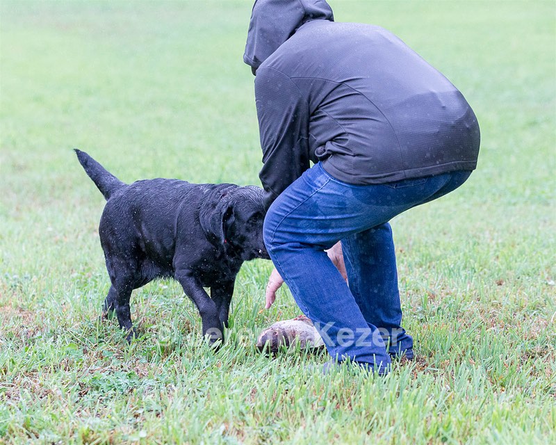 Cricket Brunell