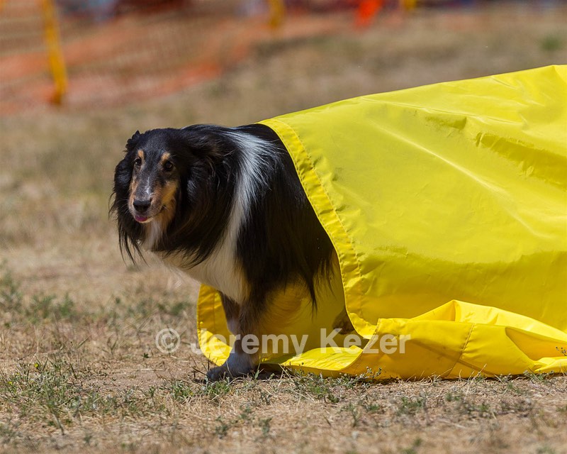 20160619-CCKC-1220.jpg