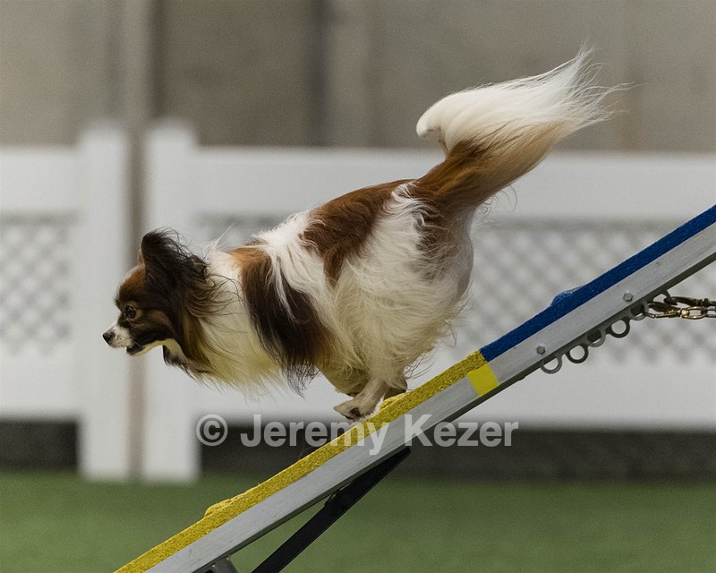 Rebel Hunt
