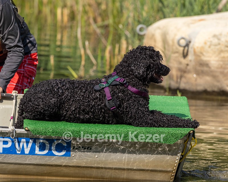 Xena Zussman