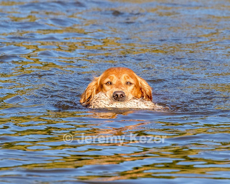 Canoe Lantiegne