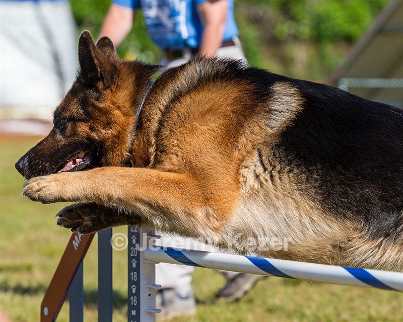 O'Connor Brogden-
Burns