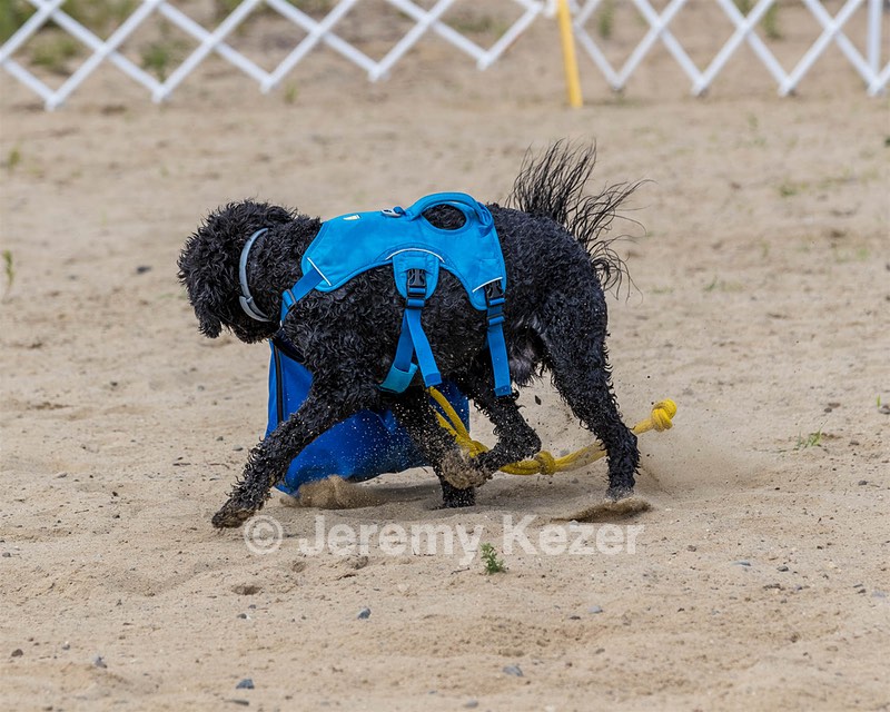 Fenwick Kutner