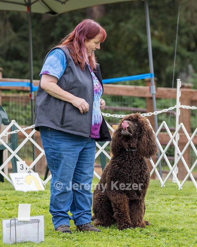 2401 - CAT'S' RUSTY CHARLIE RI CGC TKA (Dugan)
