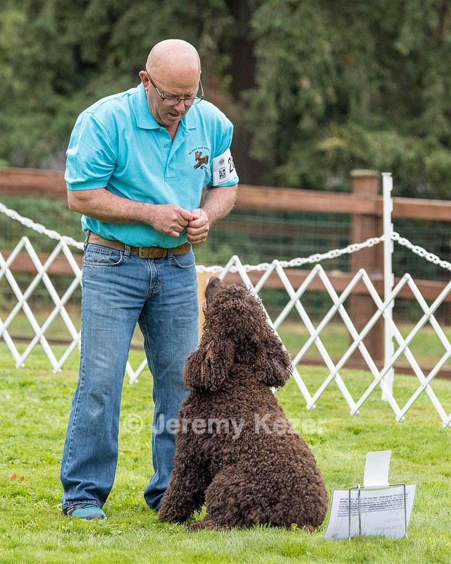 2802 - CH BLACKTHORN'S LASS THAT LOVES A SAILOR IN WICKLOW CD BN RM CGC (Calypso)