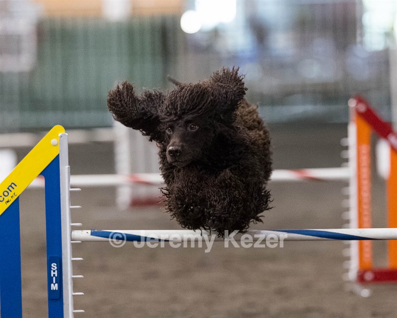 Arrow Kezer