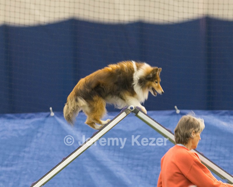 20150321-LEAP-1695.jpg