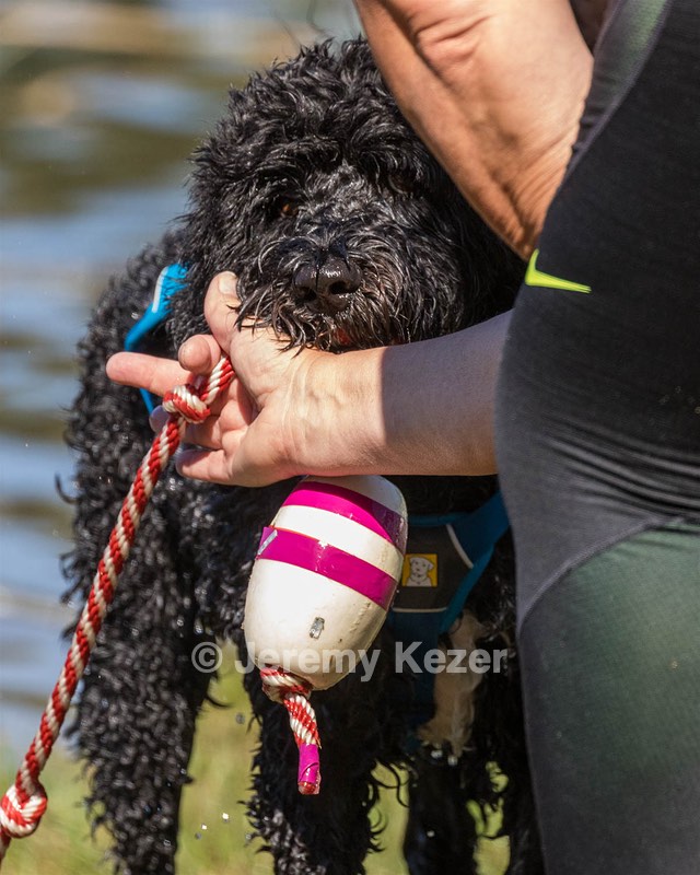 Asta Ellen