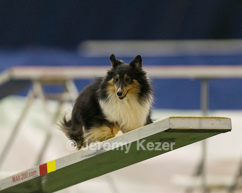 20150321-LEAP-1578.jpg