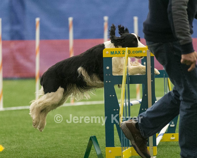 20150321-LEAP-1423.jpg