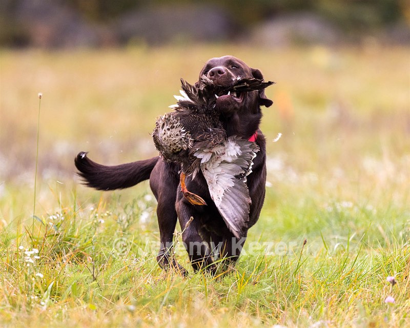 Gunny Fisher