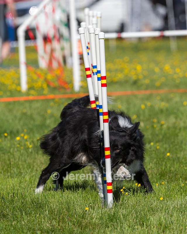 Sport Daniels